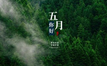 大班五月份工作总结7篇