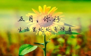 五月份活动总结8篇
