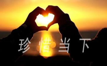 珍惜粮食活动方案5篇