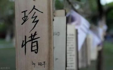 惜为题作文600字8篇