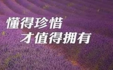 珍惜生命防溺水的作文8篇