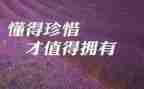 以珍惜为主题的演讲稿6篇