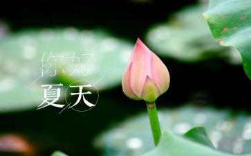 读后感夏洛的网800字8篇