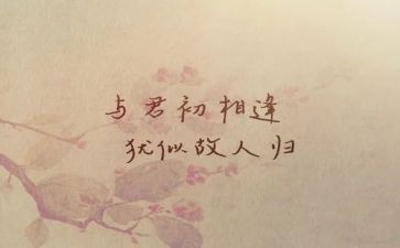 与君相逢作文最新8篇
