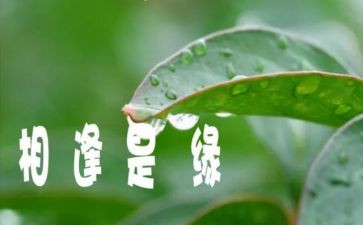 相逢的作文600字精选8篇
