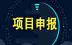 项目元旦活动方案5篇