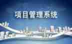 项目总年度个人工作总结7篇