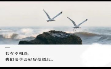 作文相遇字6篇
