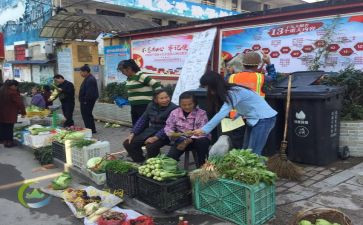 乡镇食品安全个人工作总结8篇