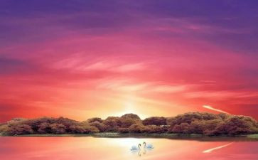 《骆驼祥子》读后感60字最新7篇