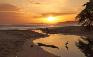 骆驼祥子三读后感5篇