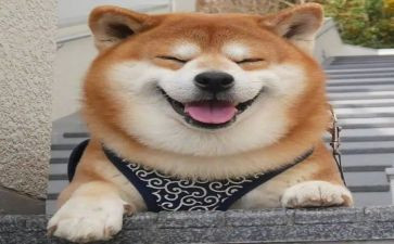 笑600字作文精选6篇