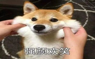 ___的微笑作文优秀5篇