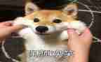 微笑作文800字最新5篇