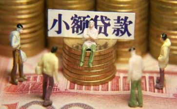 小额贷款的申请书8篇