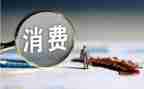 消费情况调查报告5篇