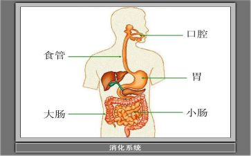 消化内科的自我鉴定模板7篇