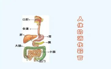 消化科护士心得6篇