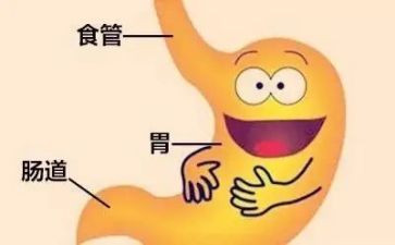 消化科工作计划7篇