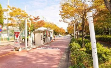 校内申请奖学金申请书8篇