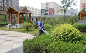 小区物业保安个人总结8篇
