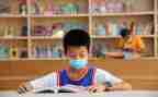 小学教学线工作总结精选7篇