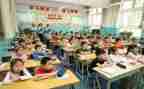 小学语文暑期培训心得体会优质7篇
