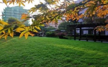 校园之星活动方案7篇
