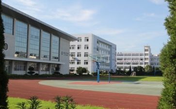 教师校园安全心得体会7篇