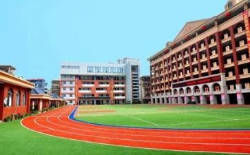 参加校园活动的心得体会7篇