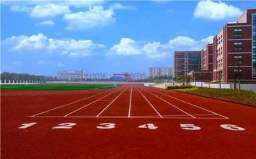 600字校园作文最新5篇