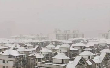 下雪了作文6篇
