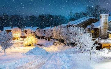 下雪了幼儿教案精选5篇