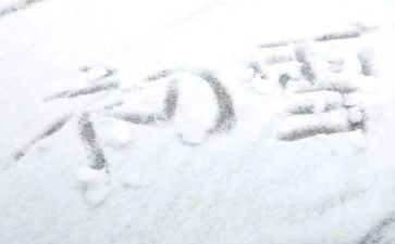 下雪了作文600字5篇