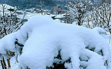 下雪了作文600字6篇