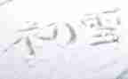 下雪了作文600字5篇