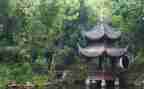 写物品的作文优秀5篇