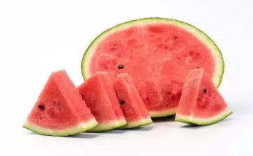 小西瓜小班教案8篇