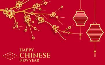 关于新的一年工作计划6篇