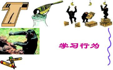 小学规范办学行为自查报告最新学校规范办学行为自查报告优秀5篇