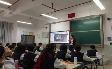 新课标小学数学心得体会5篇