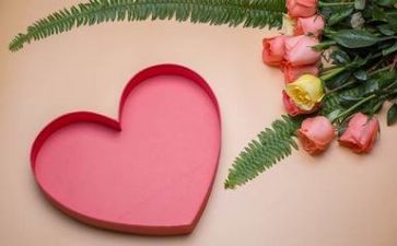 教师心理c证培训心得体会最新6篇