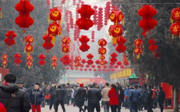 作文我的新年600字7篇