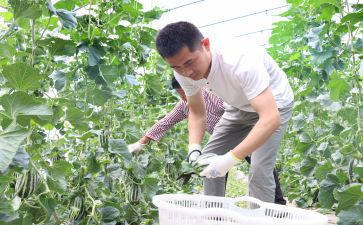 新农保工作自查报告6篇