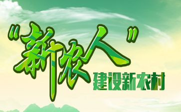 新农村建设年度工作总结8篇
