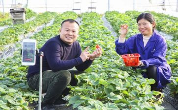 新农村的调查报告8篇