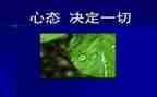 职业心态培训心得5篇