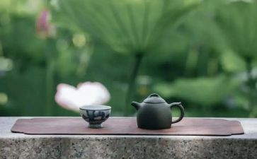 个人修养作文模板8篇