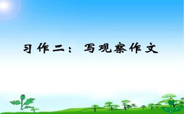 学习作文的作文参考8篇