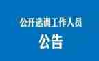 选调生到村工作总结6篇